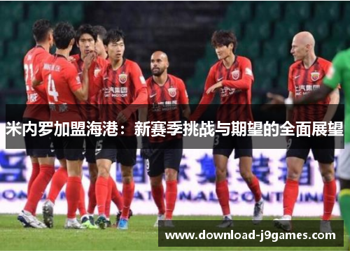 米内罗加盟海港：新赛季挑战与期望的全面展望